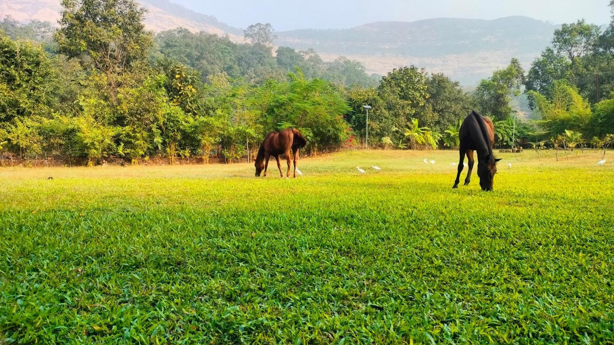 King'S Landing Villa Karjat Bagian luar foto